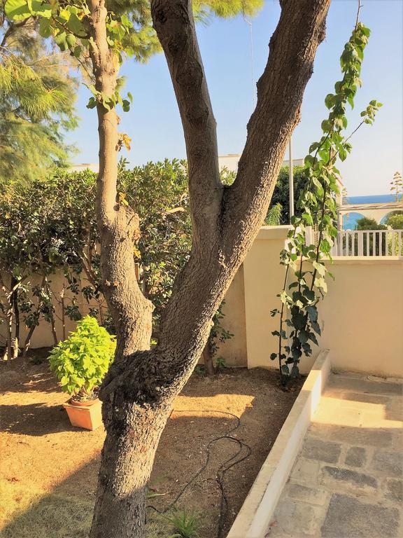 Le Due Pigne (Adults Only) Villa ตารันโต ภายนอก รูปภาพ